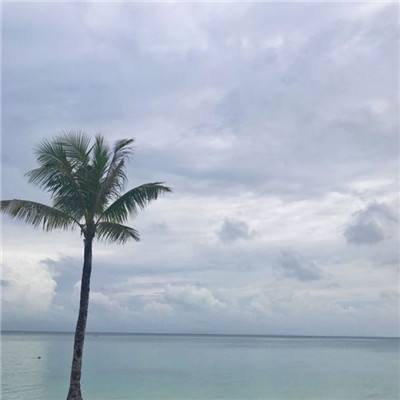 博喜体育官网下载